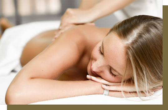 コンセプト - くつろげる癒しの空間